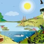 Konsep Kebutuhan Dasar Hewan