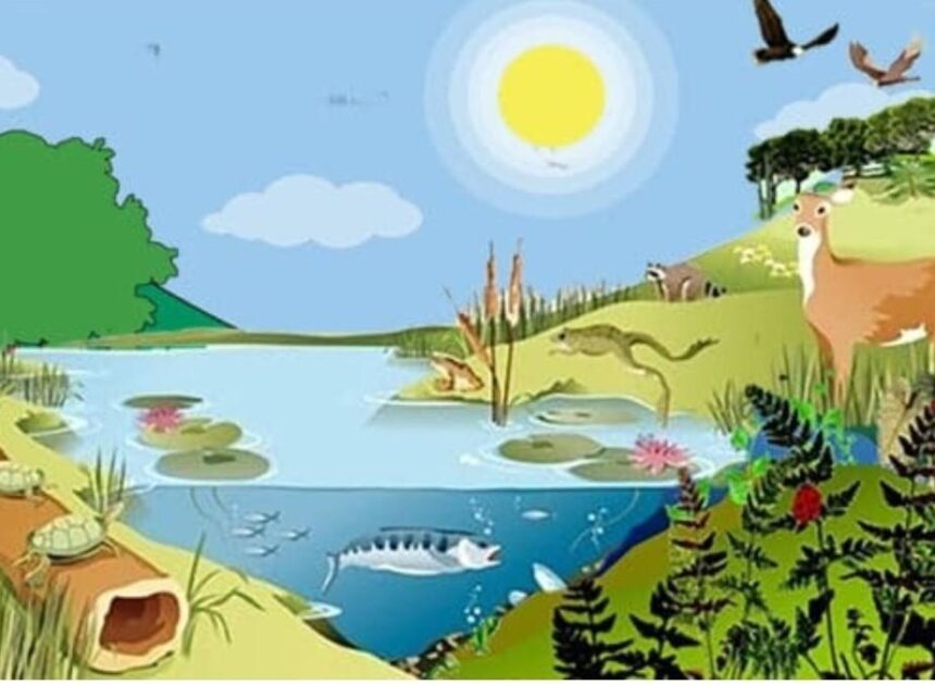 Konsep Kebutuhan Dasar Hewan Dalam Pembelajaran Ilmu Biologi