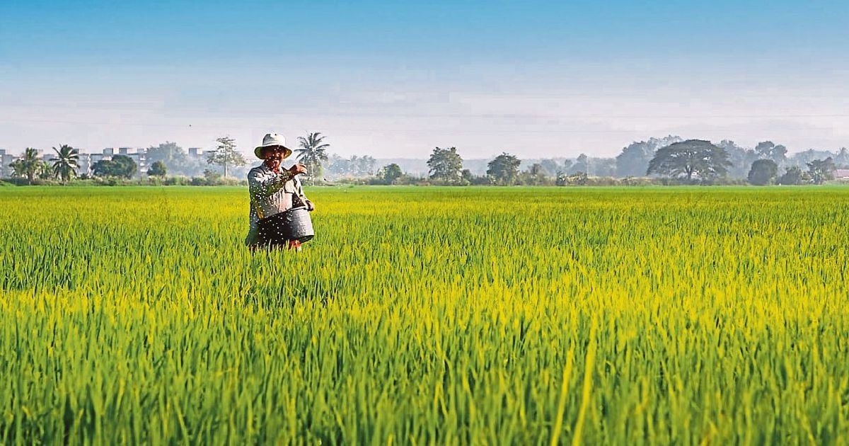 Sawah sebagai Penyeimbang Alam dan Sumber Kehidupan