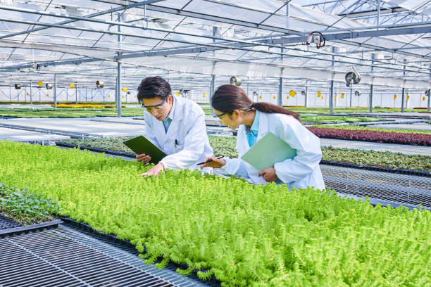 Teknologi dan Inovasi dalam Pengelolaan Sumber Daya Tumbuhan