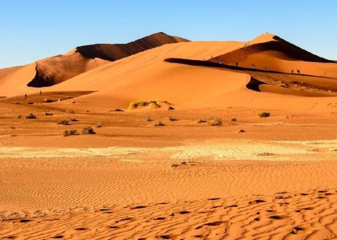 Studi Biologi Mengenai Keberlangsungan Hidup Spesies Gurun