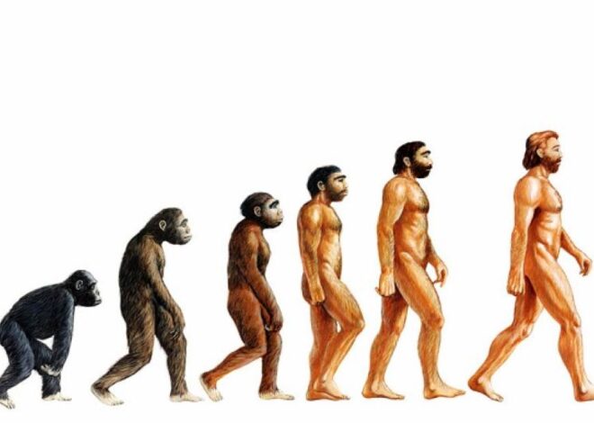 Evolusi Spesies: Dari Perubahan Kecil hingga Transformasi Besar