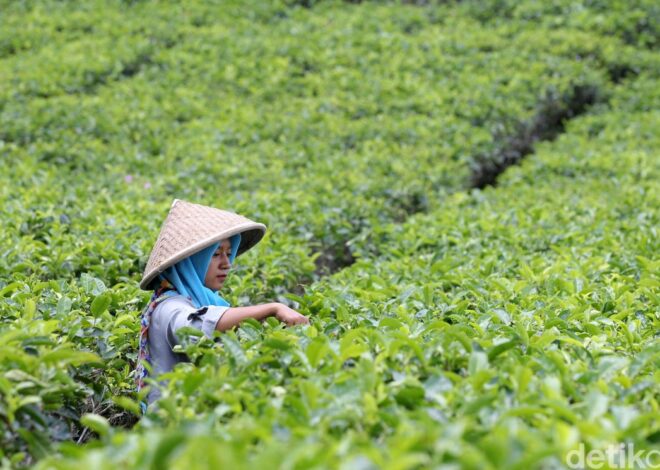 Sumber Daya Hayati: Kekayaan Alam yang Harus Dilestarikan