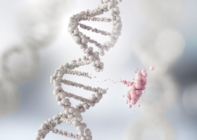 Mutasi Genetik: Penyebab, Jenis, dan Dampaknya pada Kehidupan