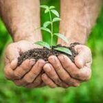 Konsep Tanaman Budidaya