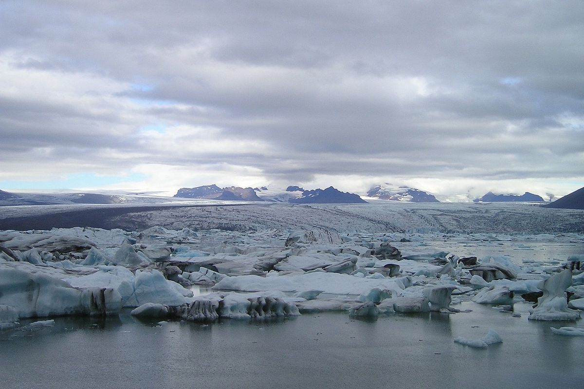 Bioma Tundra
