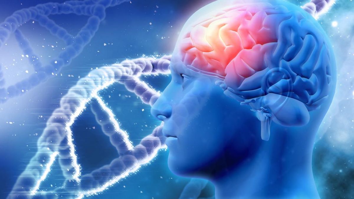 Ilmu Biologi Neurosains